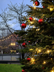 Similar image 22348126