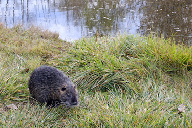 Similar image 22348150