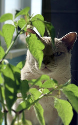 Similar image 22348011