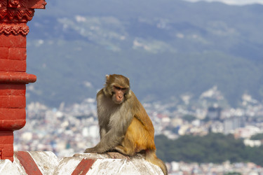 Similar image 22348026