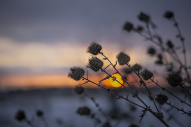 Similar image 22348019