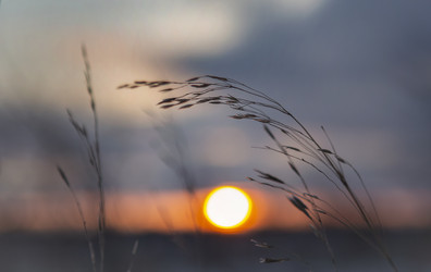 Similar image 22348020