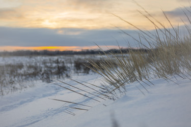 Similar image 22348021