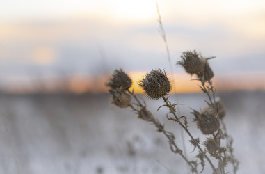 Similar image 22348024