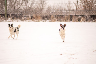 Similar image 22348014