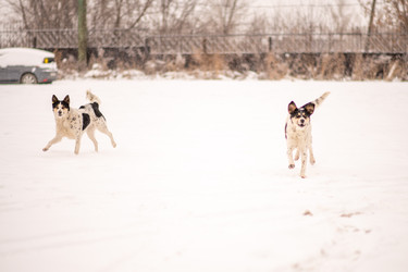 Similar image 22348015