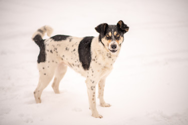 Similar image 22348016