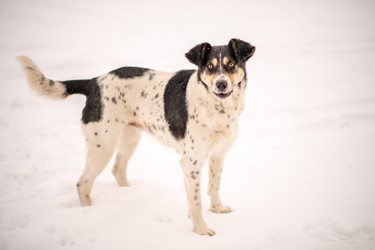 Similar image 22348017