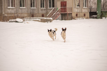 Similar image 22348018