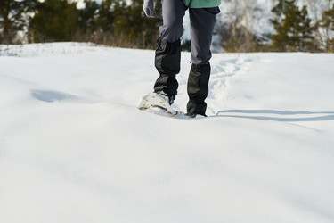 Similar image 22342494