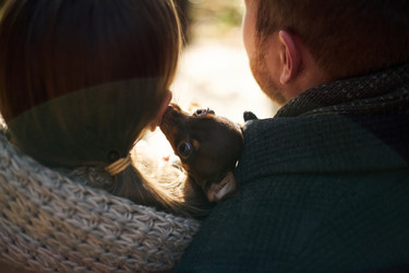 Similar image 22343859