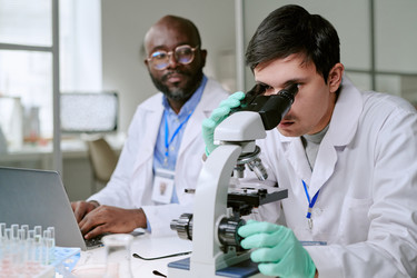 Similar image 22343474