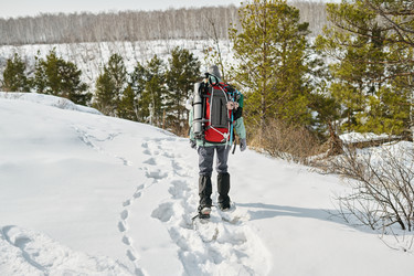 Similar image 22342484