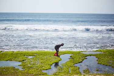 Similar image 22342989