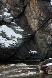 Similar image 22342523