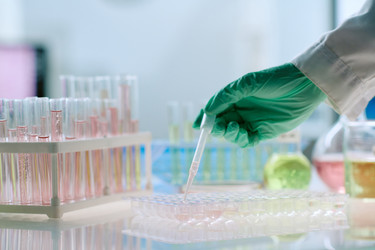 Similar image 22343461