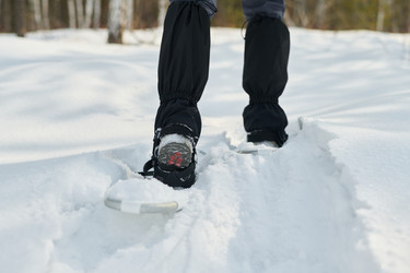 Similar image 22342502