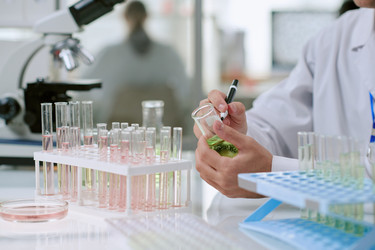 Similar image 22343441