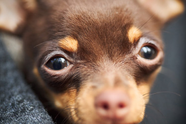 Similar image 22343842