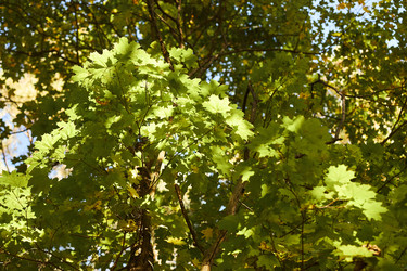 Similar image 22343841