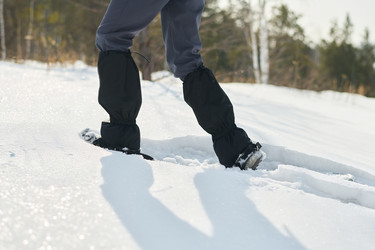 Similar image 22342496