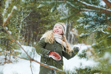 Similar image 22342345