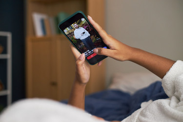 Similar image 22357757