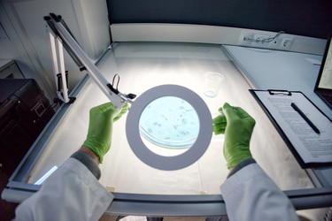 Similar image 22355512