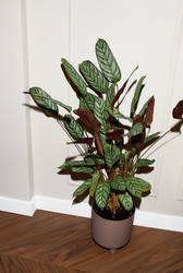 Similar image 22355329