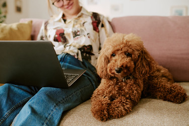 Similar image 22356673