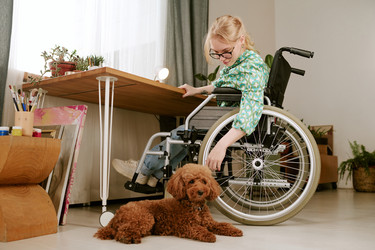 Similar image 22356650