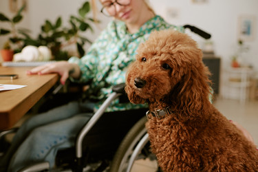 Similar image 22356653