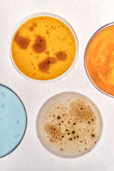 Similar image 22355528