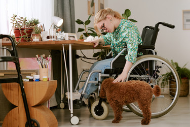 Similar image 22356645