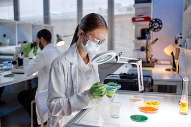 Similar image 22355546