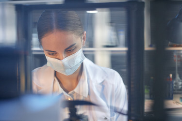 Similar image 22355523