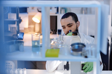 Similar image 22355550