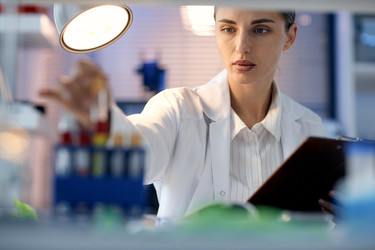 Similar image 22355499