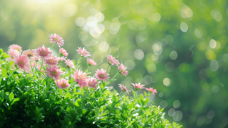 Similar image 22360436