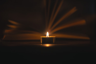 Similar image 22384009