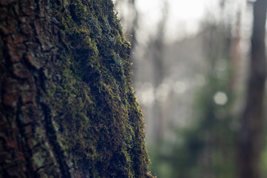 Similar image 22392476