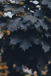 Similar image 22360479