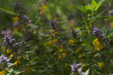 Similar image 22392490