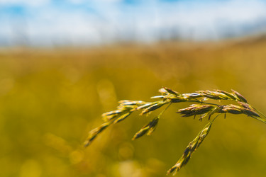 Similar image 22392531