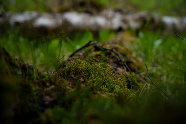 Similar image 22392503