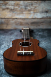 Similar image 22392462