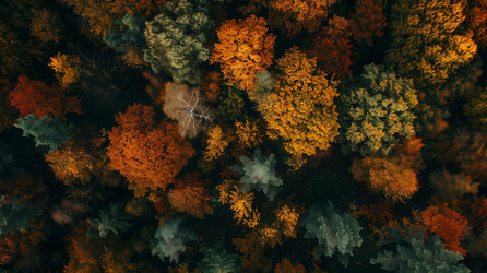 Similar image 22360464