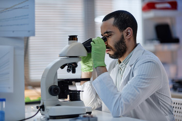 Similar image 22355539