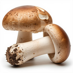 Similar image 22384693