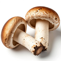 Similar image 22384815